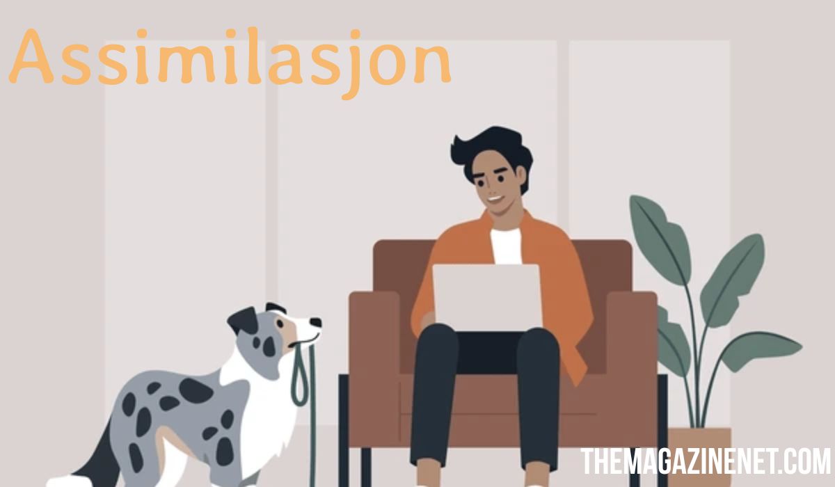 Assimilasjon