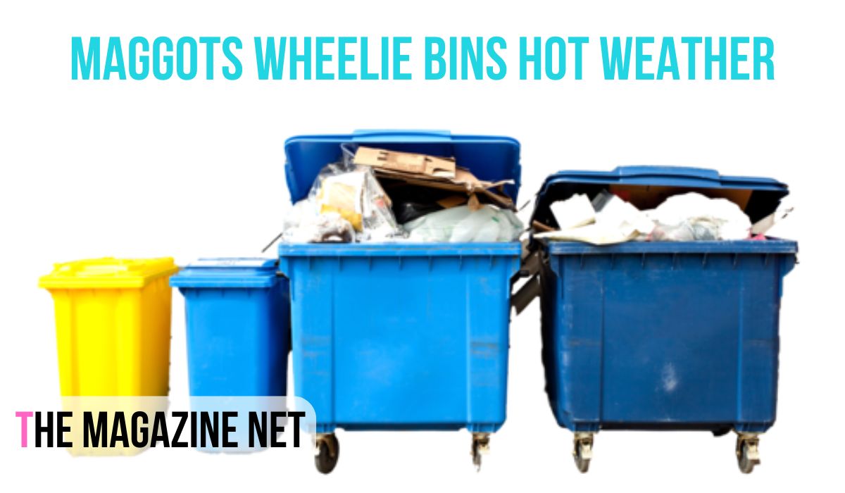 Maggots Wheelie Bins Hot Weather
