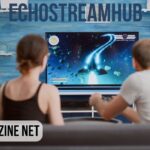 Echostreamhub